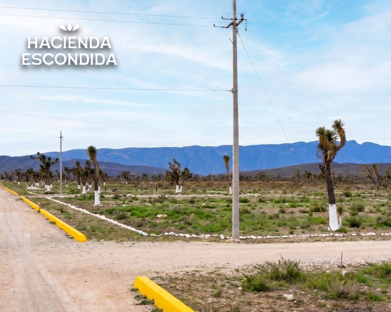 IMF_Terrenoscampestres_SalinasVictoria_HaciendaEscondida_1