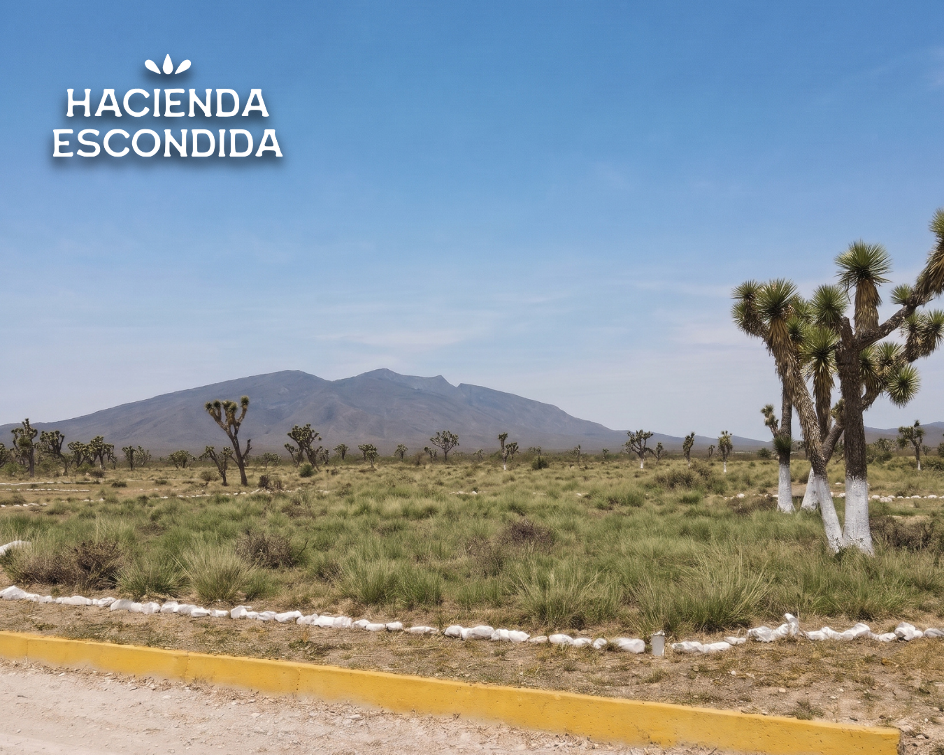 IMF_Terrenoscampestres_SalinasVictoria_HaciendaEscondida_2